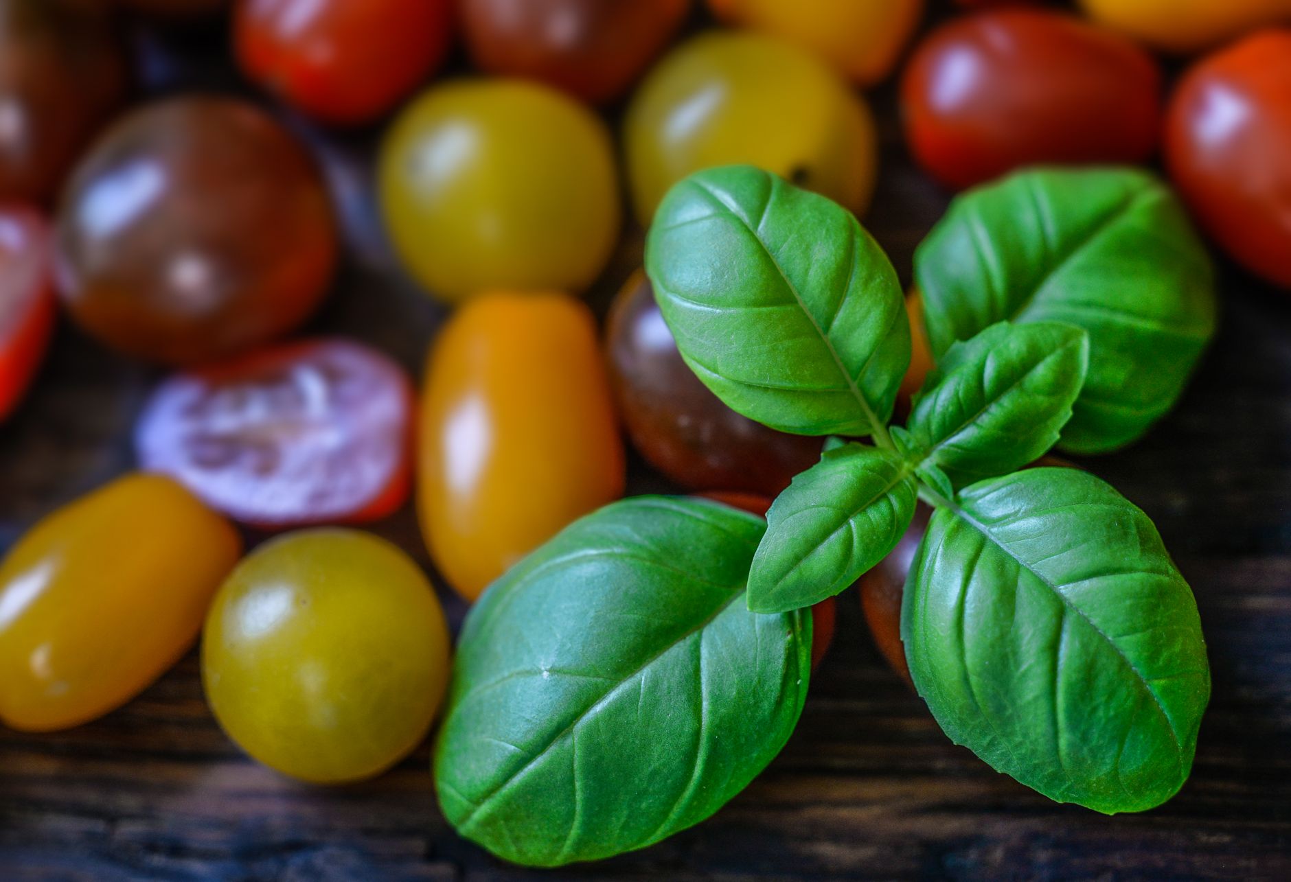 Vibrant cherry tomatoes and fresh basil leaves, perfect for a healthy salad.